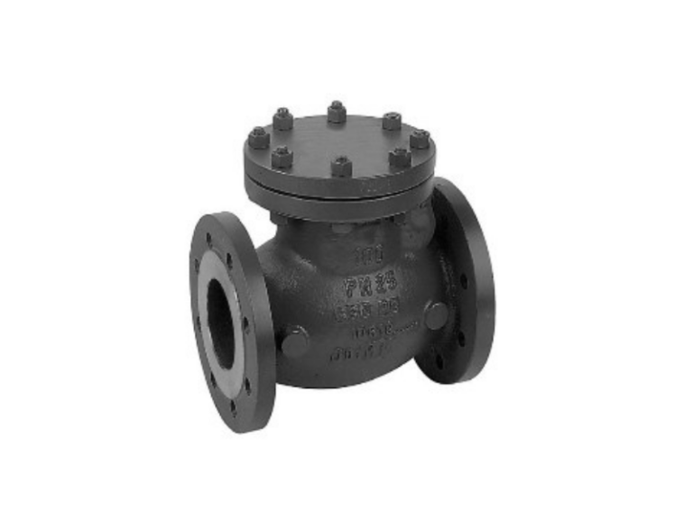 Check Valves