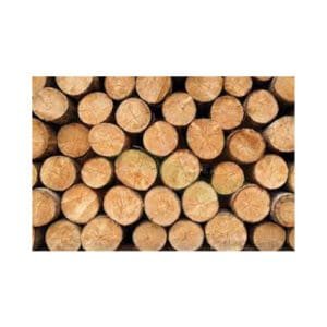 Soft/White Wood Timber Logs